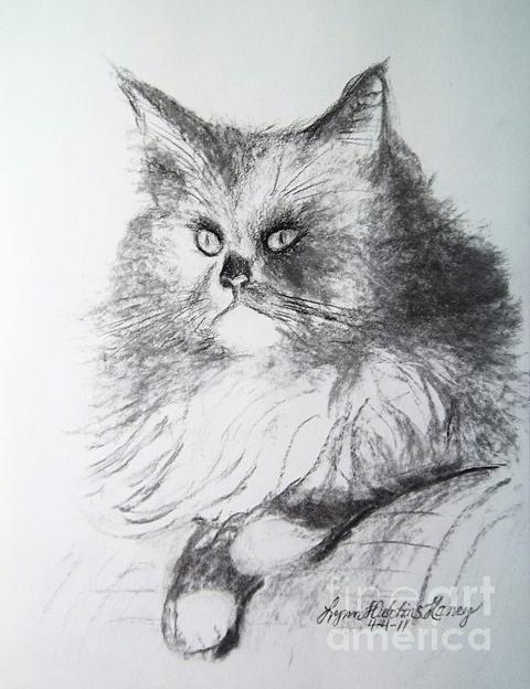 Portrait Drawing of a Persian Cat  Drawing